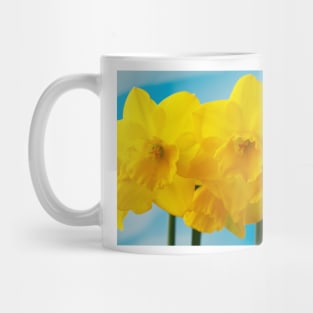 Narcissus  &#39;Quail&#39;  AGM   Division 7  Jonquilla  Daffodil Mug